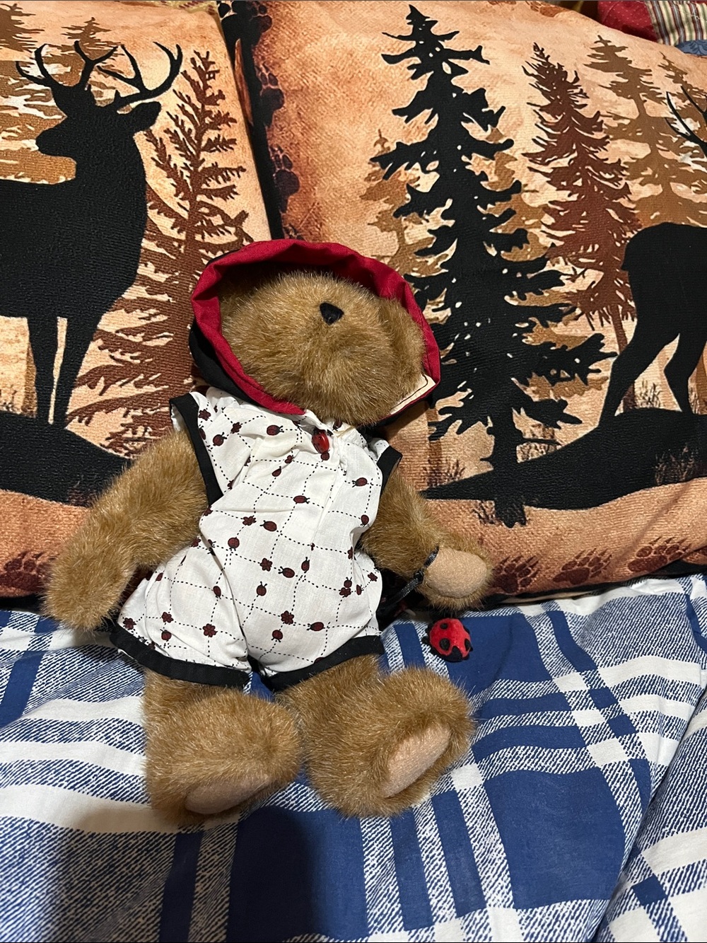 Boyd’s new bear